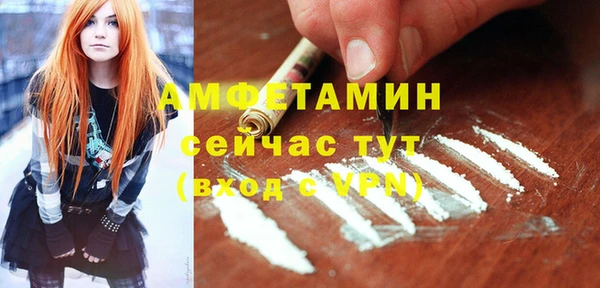ГАЛЛЮЦИНОГЕННЫЕ ГРИБЫ Рославль