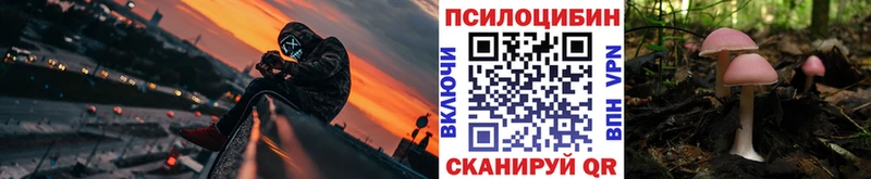 Псилоцибиновые грибы Psilocybe Электрогорск